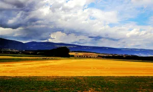 瑞士伯尔尼田园风景图片第张