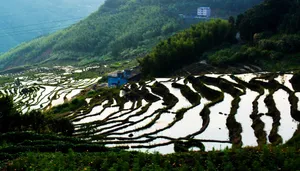 福建尤溪联合梯田风景图片第张
