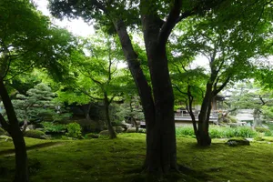 日本松江由志园风景图片第张