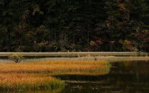 四川九寨沟秋景图片第张