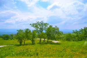 吉林长白山风光图片第张