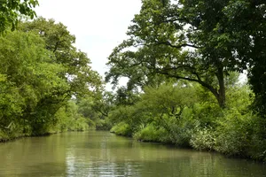 杭州西溪国家湿地公园风景图片第张