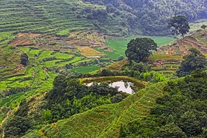 婺源-中国最美丽的农村图片第张