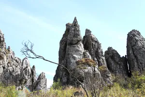 湖北神农架板壁岩风景图片第张