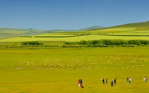 内蒙古科尔沁草原风景图片第张