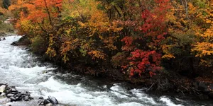 四川阿坝秋季风景图片第张