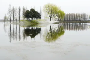 无锡鼋头渚风景图片第张