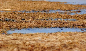 河南龙湖风景图片第张