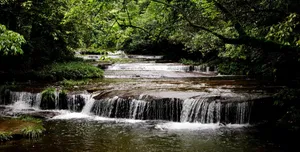 四川天台山风景图片第张