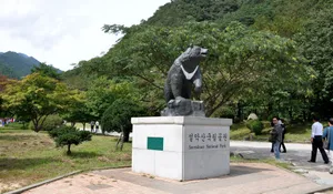 韩国雪岳山风景图片第张