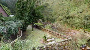 四川碧峰峡风景图片第张