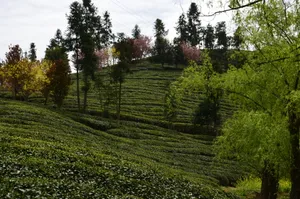 陕西平利风景图片第张