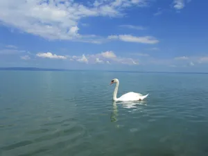 匈牙利巴拉顿湖风景图片第张