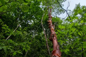 甘肃卧牛山风景图片第张