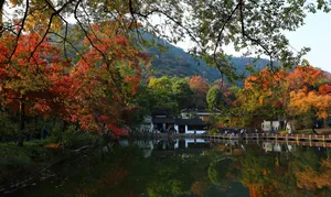 江苏苏州天平山风景图片第张