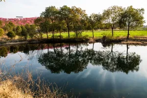 江苏张家港香山风景区图片第张