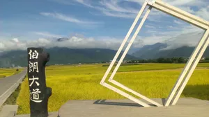 台湾台东伯朗大道图片第张