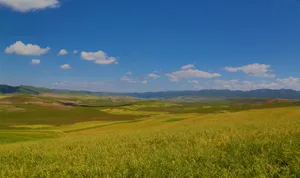 甘肃阿木去乎风景图片第张