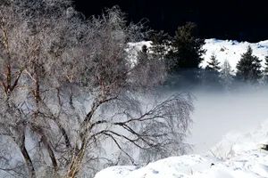新疆巩乃斯雪景图片第张