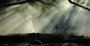 福建淳朴的杨家溪人文风景图片第张