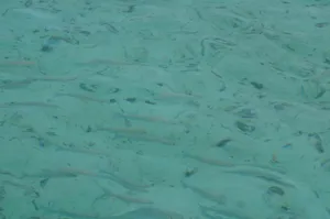 马尔代夫天堂岛风景图片第张