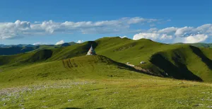 甘肃阿万仓风景图片第张