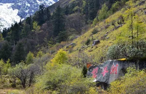 四川米亚罗风景图片第张