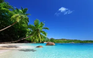 波利尼西亚波拉波拉岛风景图片第张