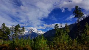 西藏波密风景图片第张