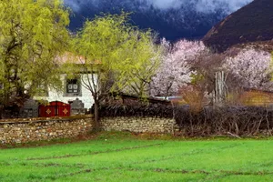西藏林芝雅江风景图片第张