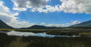 云南腾冲草海风景图片第张