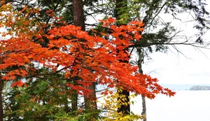 美国佛蒙特州秋景图片第张