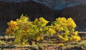 美国犹他州秋景图片第张