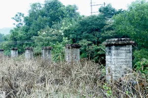 广东淇澳岛风景图片第张