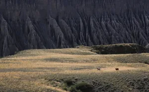 新疆奎屯风景图片第张