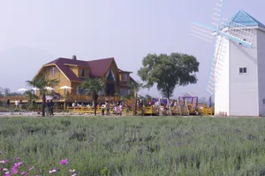 陕西西安曲江风景图片第张