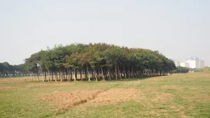 江苏苏州独墅湖风景图片第张