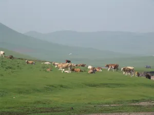 内蒙古克什克腾世界地质公园风景图片第张