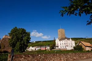 德国吕德斯海姆风景图片第张