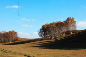 河北坝上秋季风景图片第张