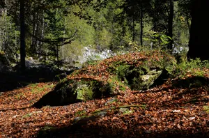 德国艾布湖风景图片第张