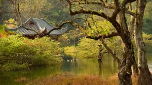 广西桂林逍遥湖风景图片第张
