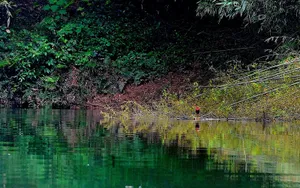 广西宜州祥贝乡风景图片第张