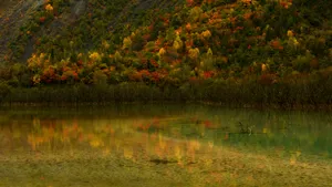 甘肃文县天池国家森林公园风景图片第张