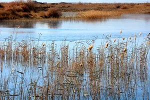 青海格尔木五子湖风景图片第张