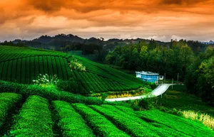 广东凤岗风景图片第张