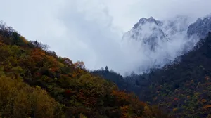 甘肃黄林沟风景图片第张