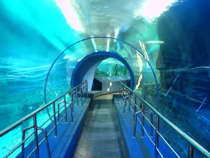 蓝色的海洋馆图片第张