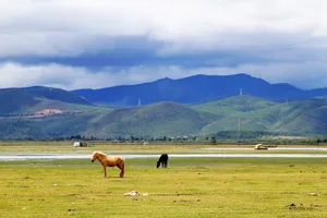 云南丽江拉市海风景图片第张