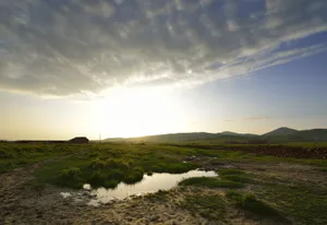 河北围场塞罕坝风景图片第张